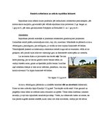 Konspekts 'Romiešu arhitektūra un māksla republikas laikā', 1.