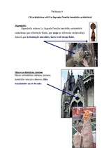 Referāts 'Gotikas stila iezīmes La Sagrada Familia katedrālē', 6.