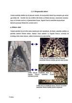 Referāts 'Gotikas stila iezīmes La Sagrada Familia katedrālē', 29.