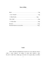 Referāts 'Kas ir filosofija?', 1.