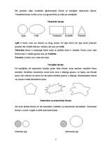 Referāts 'Formu klasifikācija', 2.