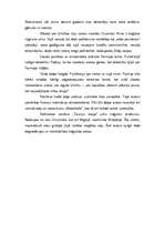 Eseja 'E.Arnis "Tauriņu kauja"', 2.