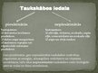Prezentācija 'Tauki un taukskābes', 4.