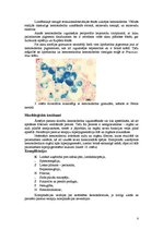 Referāts 'Hemosideroze', 8.