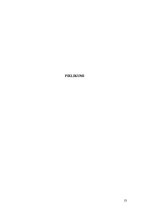 Referāts 'Hemosideroze', 13.