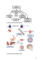 Referāts 'Hemosideroze', 16.