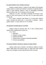 Referāts 'Intervija ar uzņēmuma vadītāju', 4.