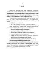 Referāts 'Starptautiskās tirdzniecības jēdziens un tās raksturojums Latvijā', 5.