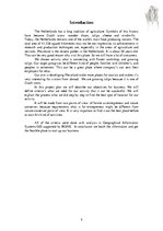 Referāts 'Flower Workshop in the Flevoland', 5.