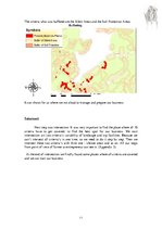 Referāts 'Flower Workshop in the Flevoland', 11.