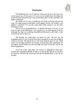 Referāts 'Flower Workshop in the Flevoland', 16.