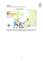 Referāts 'Flower Workshop in the Flevoland', 20.