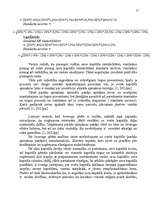 Referāts 'Peļņa un rentabilitātes rādītāji', 21.