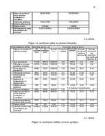 Referāts 'Peļņa un rentabilitātes rādītāji', 30.