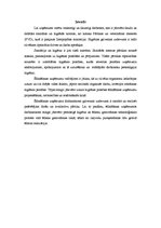 Referāts 'Pārtikas uzņēmuma sanitārais raksturojums', 2.