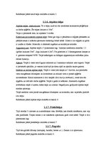 Referāts 'Pārtikas uzņēmuma sanitārais raksturojums', 8.