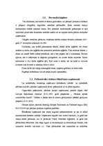 Referāts 'Pārtikas uzņēmuma sanitārais raksturojums', 9.