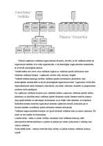 Referāts 'Organizācijas struktūra un hierarhija', 3.