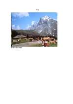 Referāts 'Šveice', 13.