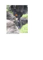 Referāts 'Šveice', 14.