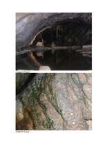 Referāts 'Šveice', 19.