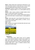 Referāts 'Biodegviela', 15.