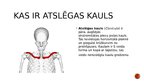 Prezentācija 'Atslēgas kauls', 3.