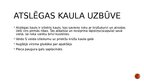 Prezentācija 'Atslēgas kauls', 5.