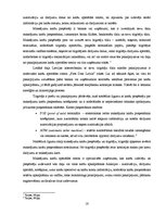 Diplomdarbs 'Maksājumu karšu tirgus analīze Latvijā', 16.