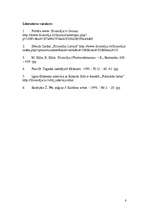 Referāts 'Postmodernisms', 8.