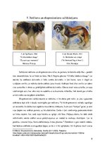 Referāts 'Reālisma salīdzinājums ar ekspresionismu, fovismu un baroku', 9.