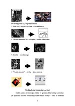 Referāts 'Informatīvās telpas paplašināšanās maina kino', 5.