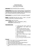 Paraugs 'Laboratorijas darbs - ābolu šķirņu salīdzināšana', 1.