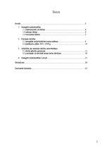 Referāts 'Nelegālā nodarbinātība Latvijā', 2.