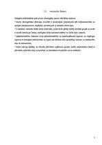 Referāts 'Nelegālā nodarbinātība Latvijā', 7.