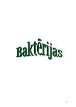 Konspekts 'Baktērijas', 1.