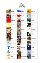 Prezentācija 'Burti S vai Z', 2.