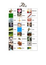 Prezentācija 'Burti S vai Z', 4.