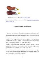 Referāts 'Alkohola ietekme uz cilvēka organismu', 5.