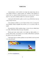 Referāts 'Alkohola ietekme uz cilvēka organismu', 9.