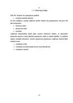 Biznesa plāns 'SIA "Auklītes"', 9.