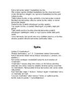 Konspekts 'Plāns sporta stundas vadīšanā', 3.