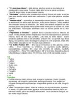 Konspekts 'Vizmas Belševicas darbu tēžu analīze', 3.