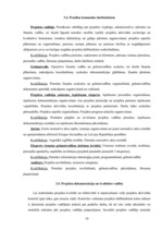 Referāts 'Projekts "Reorganizācija Iekšlietu ministrijā"', 10.