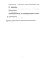 Referāts 'Projekts "Reorganizācija Iekšlietu ministrijā"', 16.