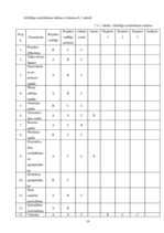 Referāts 'Projekts "Reorganizācija Iekšlietu ministrijā"', 19.