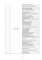 Referāts 'Projekts "Reorganizācija Iekšlietu ministrijā"', 21.