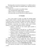 Referāts 'Uzņēmuma SAS ”Jumītis” tirgus vides novērtējums', 18.