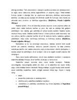 Referāts 'Uzņēmuma SAS ”Jumītis” tirgus vides novērtējums', 28.