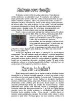 Referāts 'Cilvēka izcelšanās', 2.